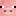 Animal :pig: